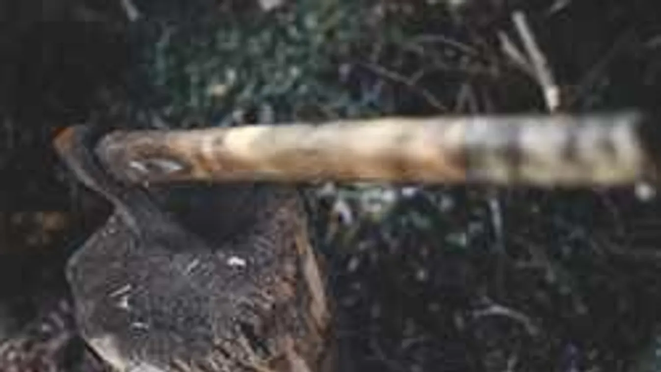 Fűrésszel, baltával gyilkolta meg szállásadóját egy hajdúsági férfi