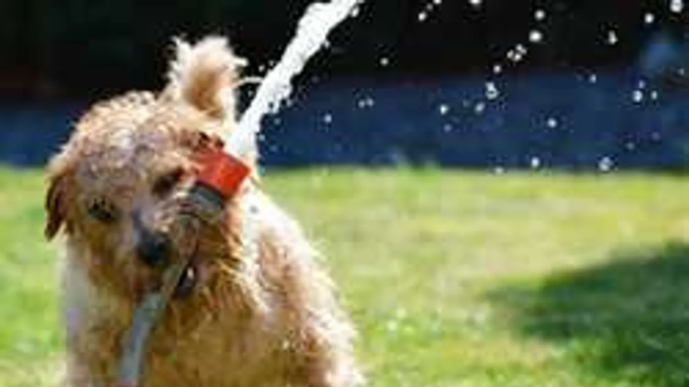 Figyelmeztet a meteorológia, ilyen hidegfront tart felénk