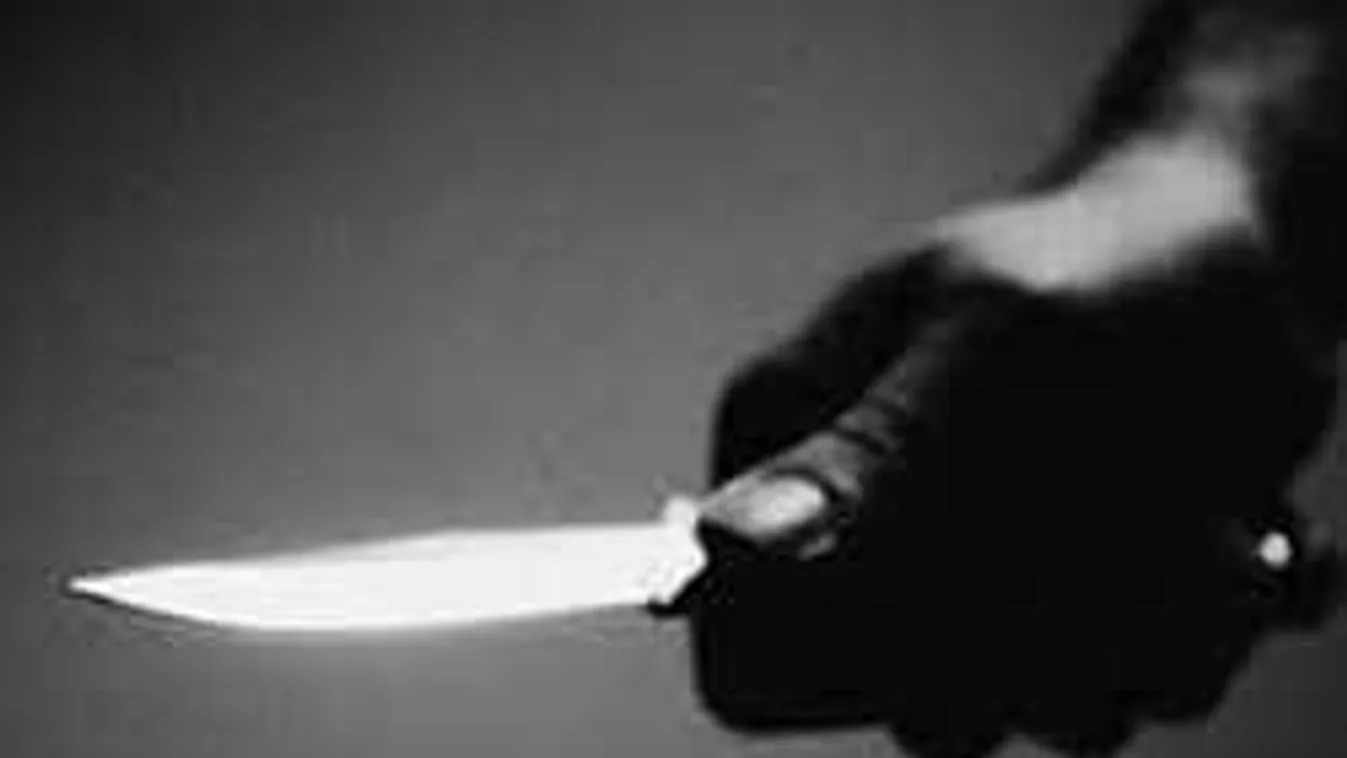 Majdnem meglincselték a késes támadót a vonaton! - videó