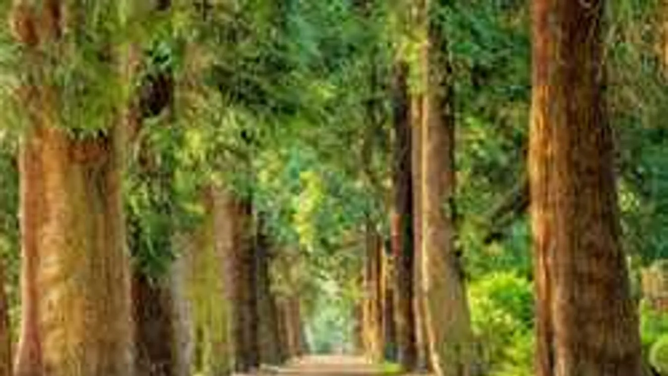 Szörnyű látvány Nagymegyerben, órákig feküdt a nyílt utcán a holttest