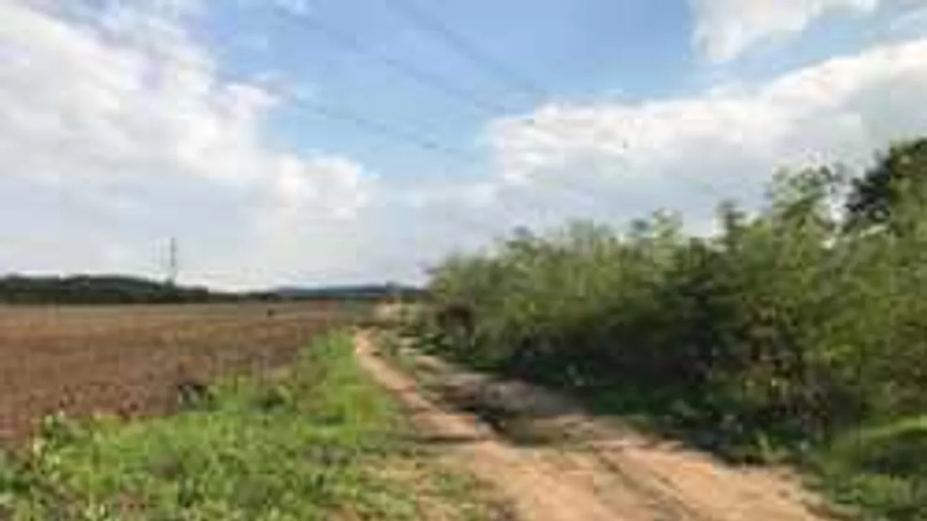 Rejtélyes holttestre bukkantak Fejér megyében, reagált a rendőrség