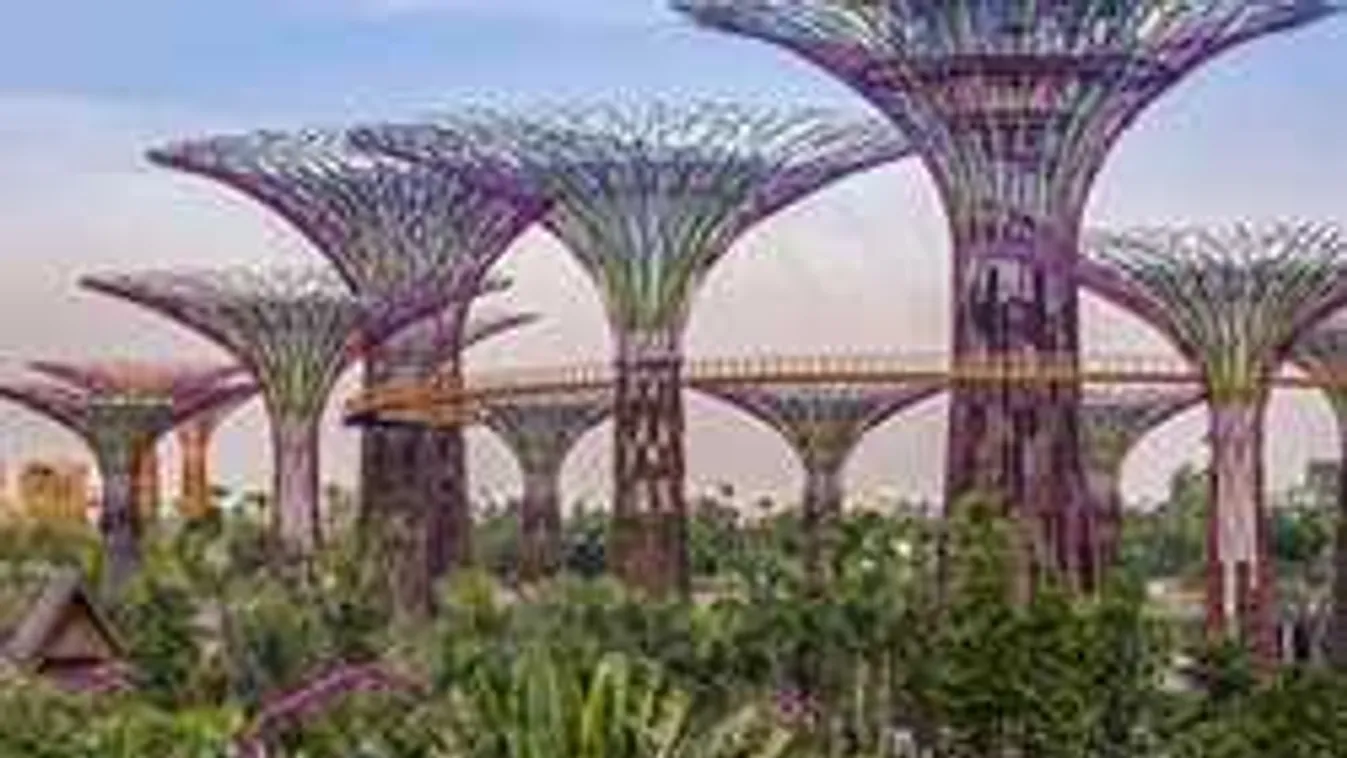 Mi van? Egymás mellett virágzik Horn Gyula és Orbán Viktor