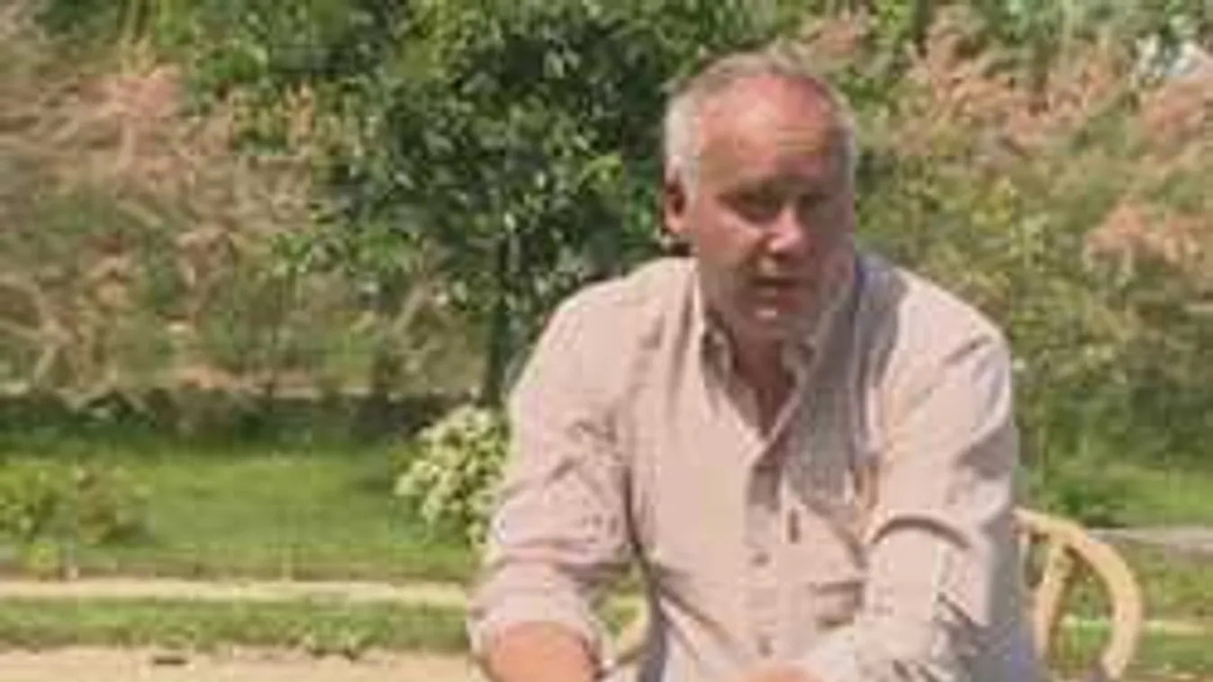 Verbális agresszió, felelnie kell az úszók elnökének