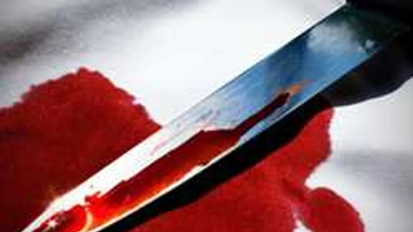 Ezt vágta a magyar nő az élettársába, véres fotó