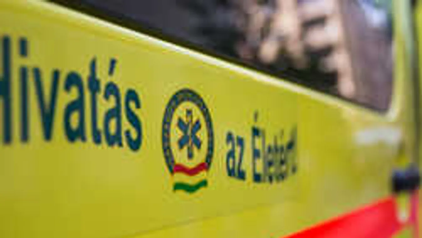 Rettenetes fájdalmakkal küzd: így törte el a gerincét a leszakadó faág