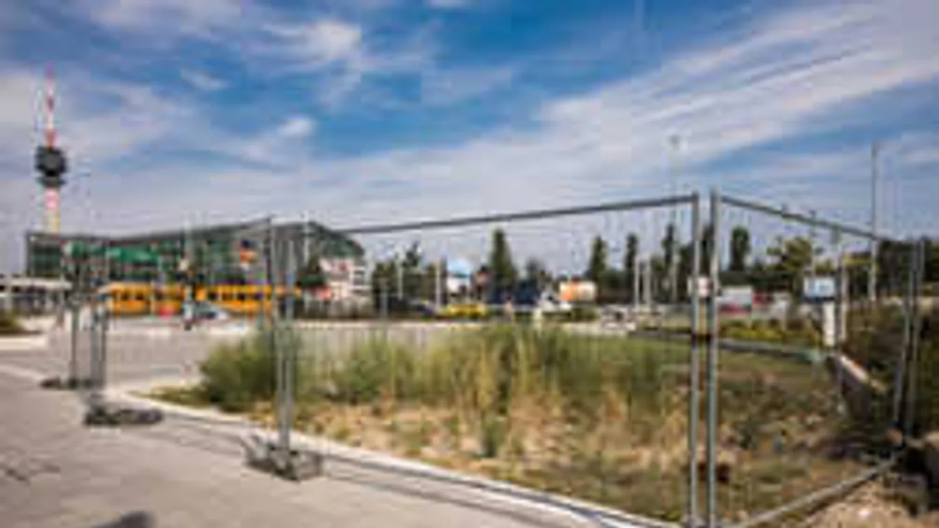 Kész őrület, bekerítették a parlagfüvet