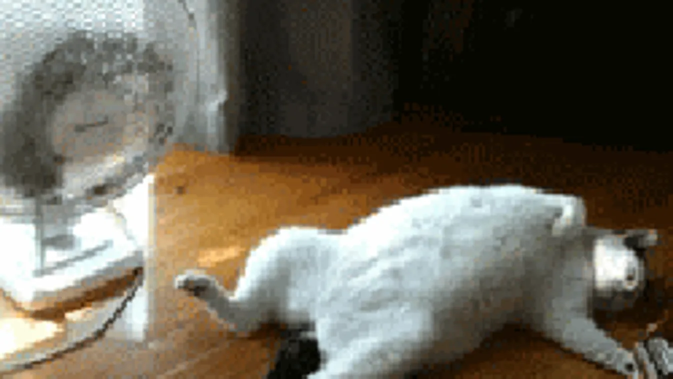 Sosem volt még ennyire meleg a fővárosban, de máshol is szenvednek