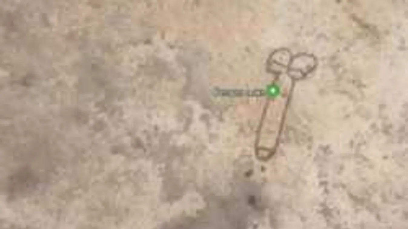 Most már hivatalos: Ausztráliában van a világ legnagyobb hímvesszője