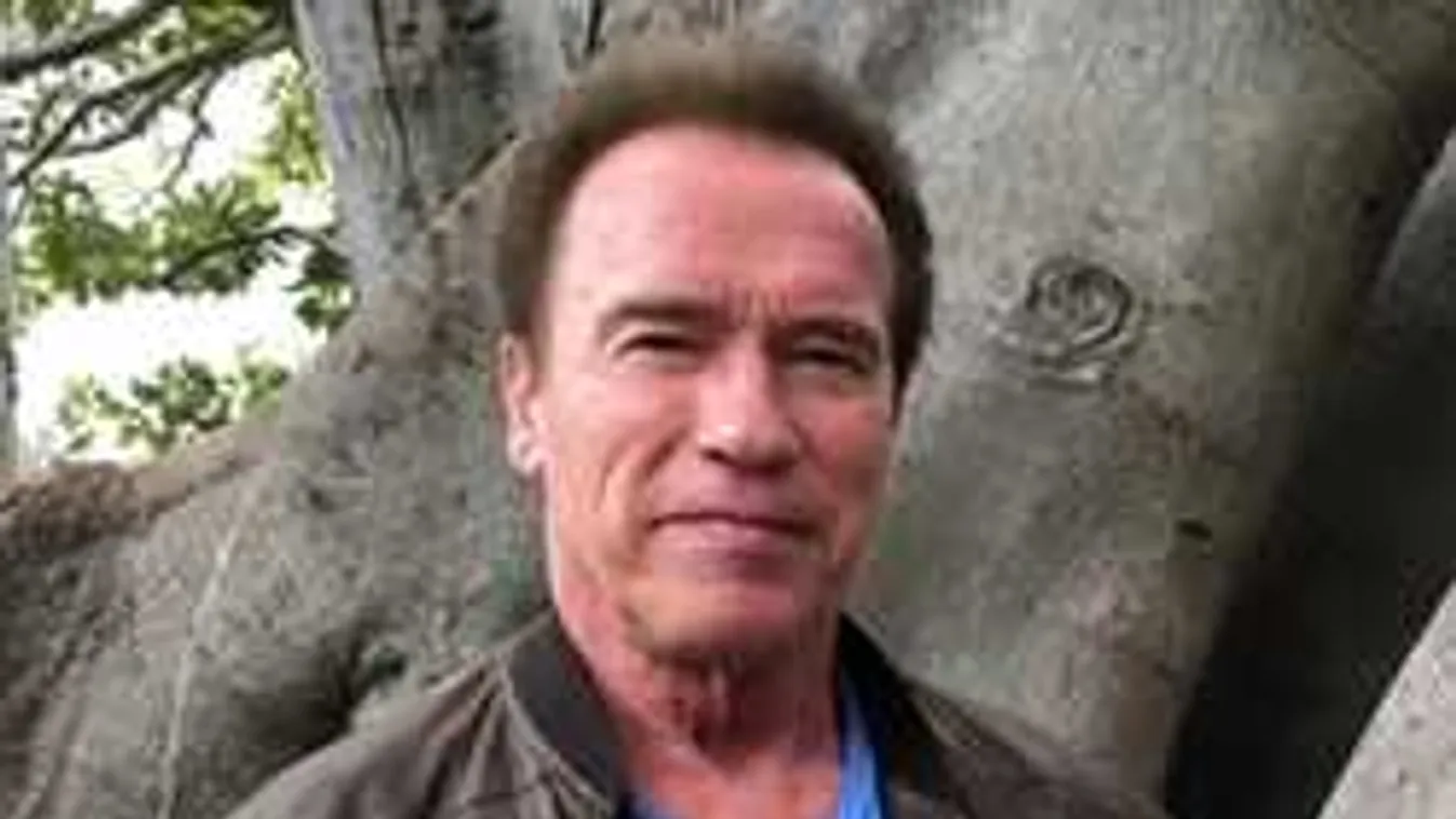 Itt a bizonyíték: Schwarzenegger imádja a magyar cigányzenét