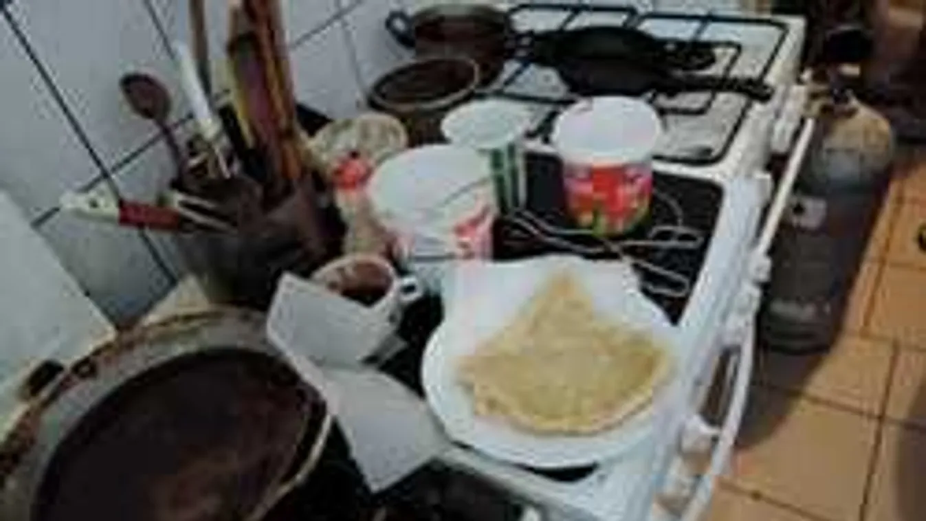 Undorító, ezt találták az ellenőrök egy balatoni büfében - Videó