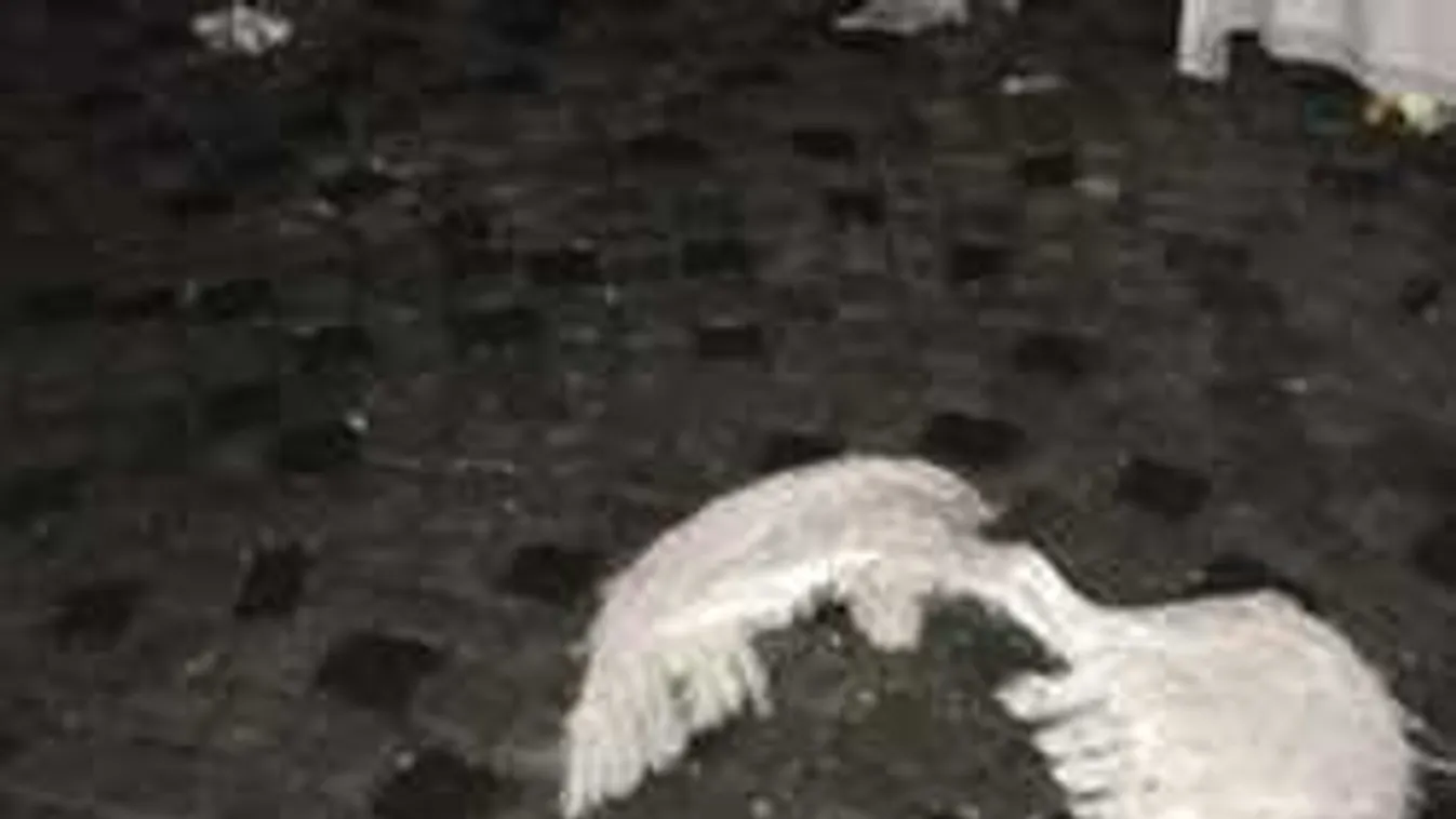 Lecsapott a vihar a budai Várra: menekültek az ünneplő sztárok