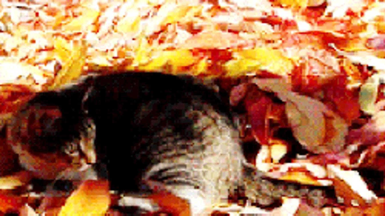 Kettős hidegfront csap le az országra, ennyire hűl le a levegő