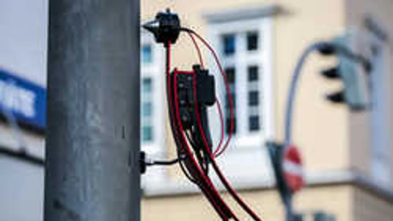 Robotharkályok kopácsolnak Budapesten