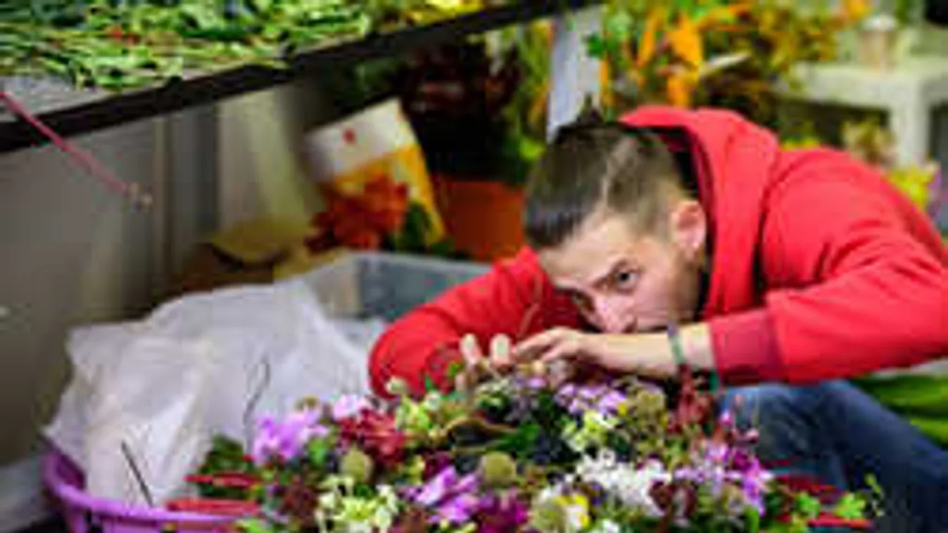 A szakmák viadala Budapesten