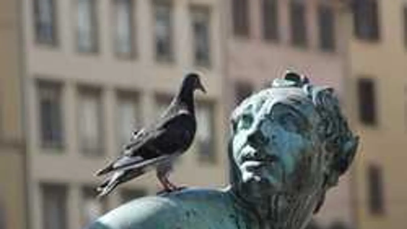 Itt a nap videója: hihetetlen, ami a Szent Gellért téren történt