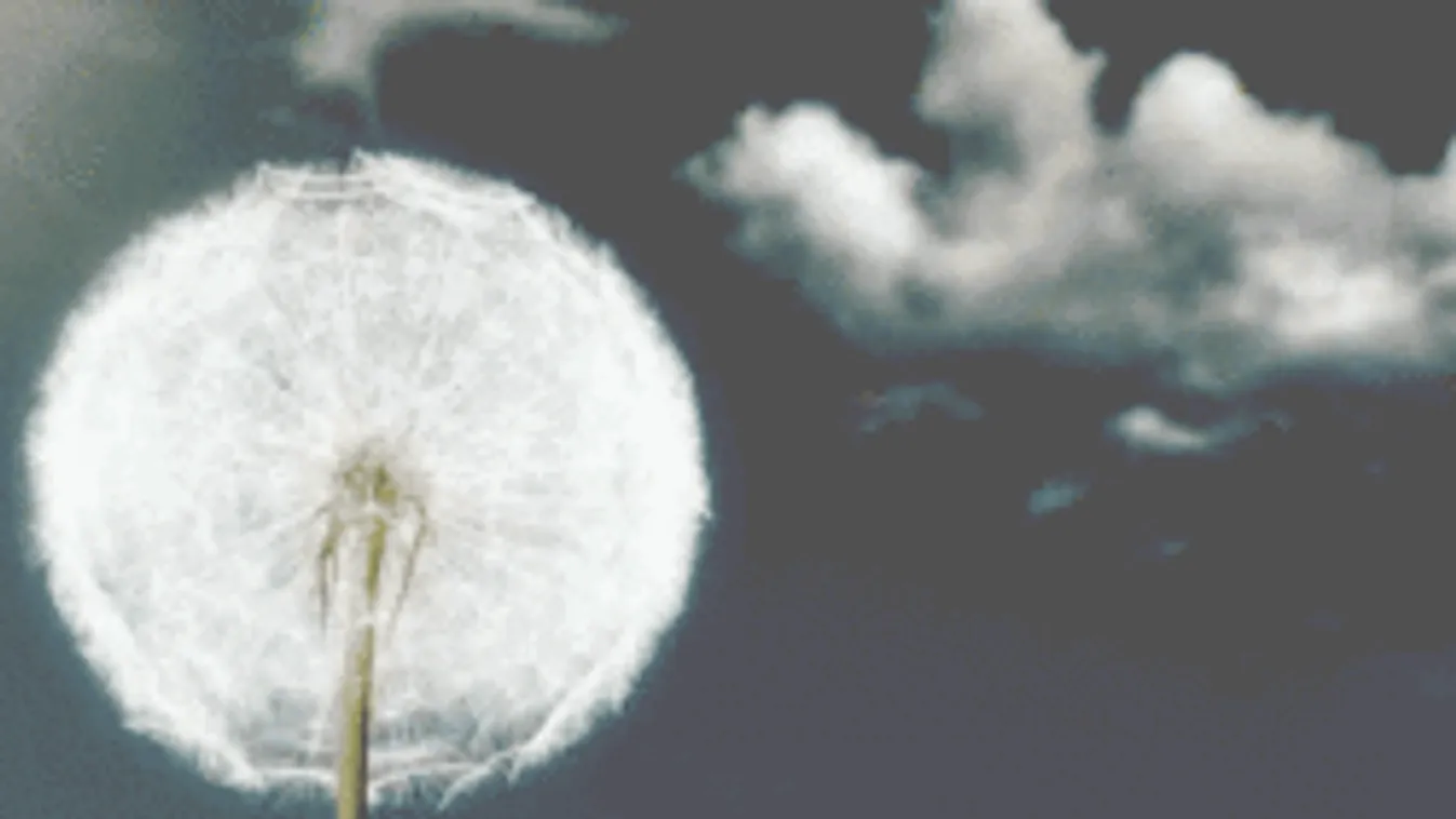 Dermesztő hajnalok jönnek, így alakul az őszi időjárás