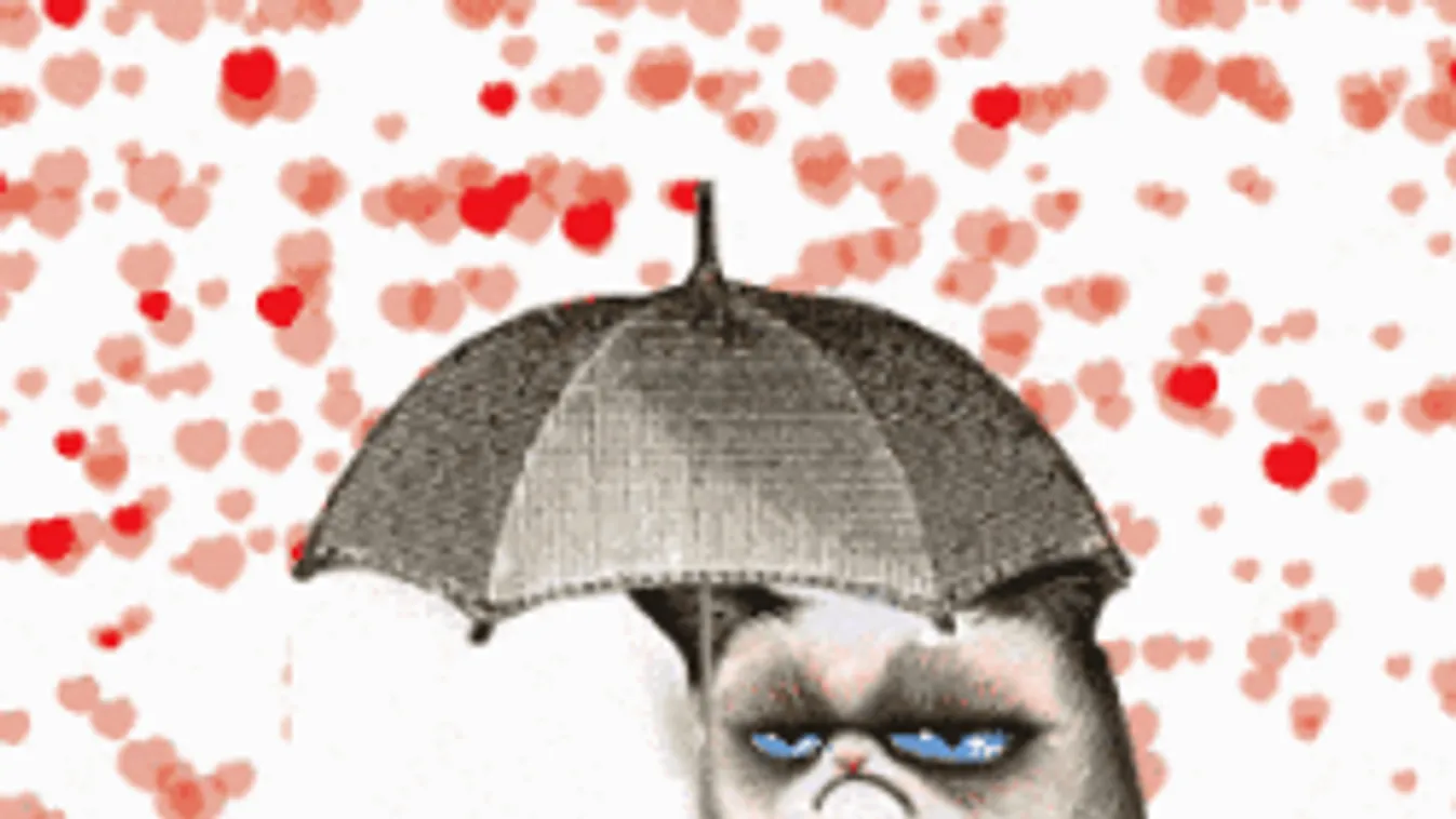 A fél ország riasztást kapott, durva széllel jön a rendkívüli lehűlés