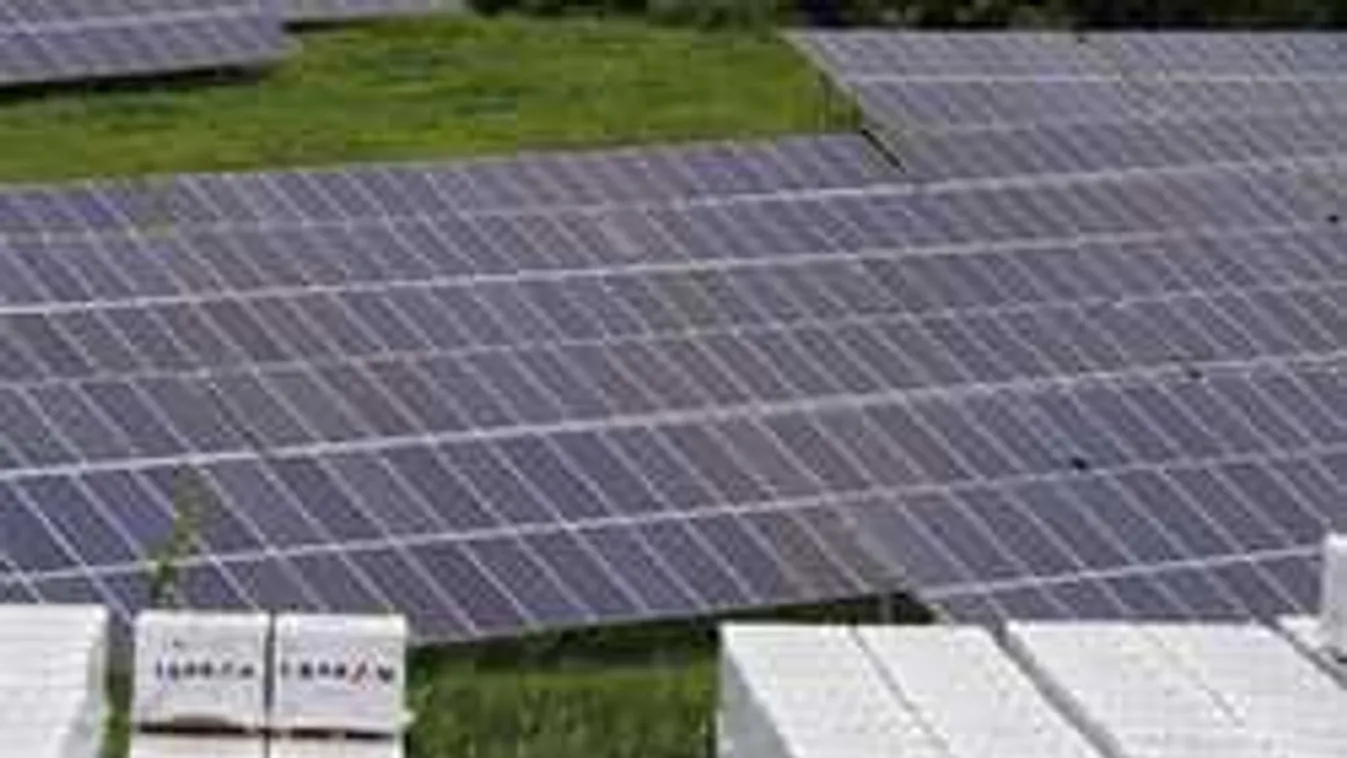 Napelemes erőművet épített a Terrán a bólyi üzemének ellátására