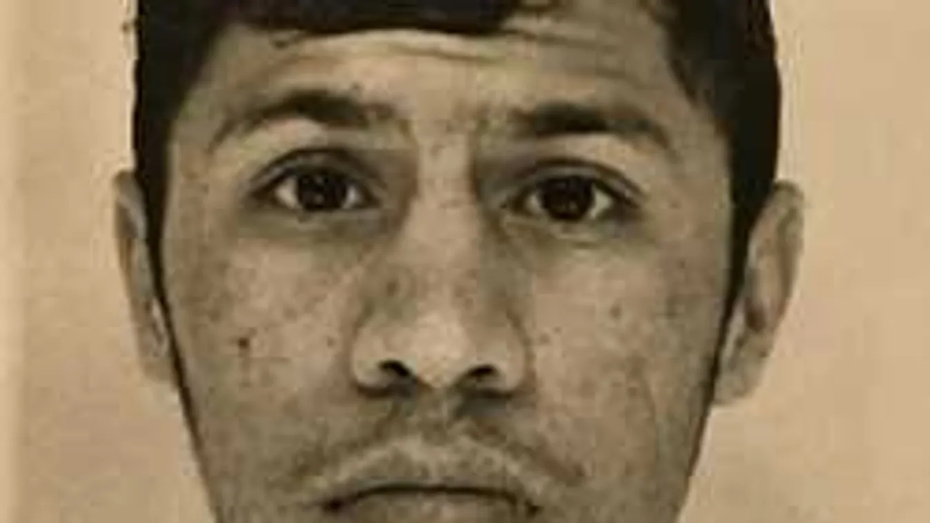 Hatalmas fordulat a magyar lányt erőszakoló férfi ügyében!