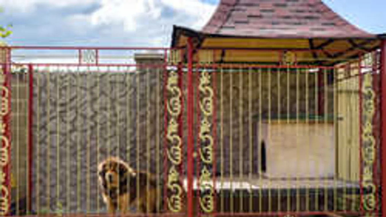 Megint itt a raklap! Elképesztő, mi készült belőle