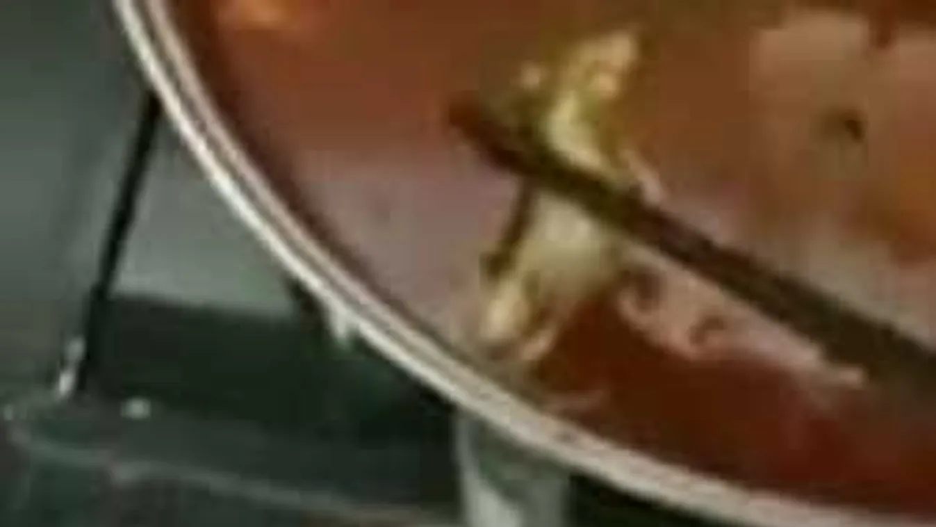 Durván bepánikolt a terhes nő: patkányt talált a levesében! VIDEÓ