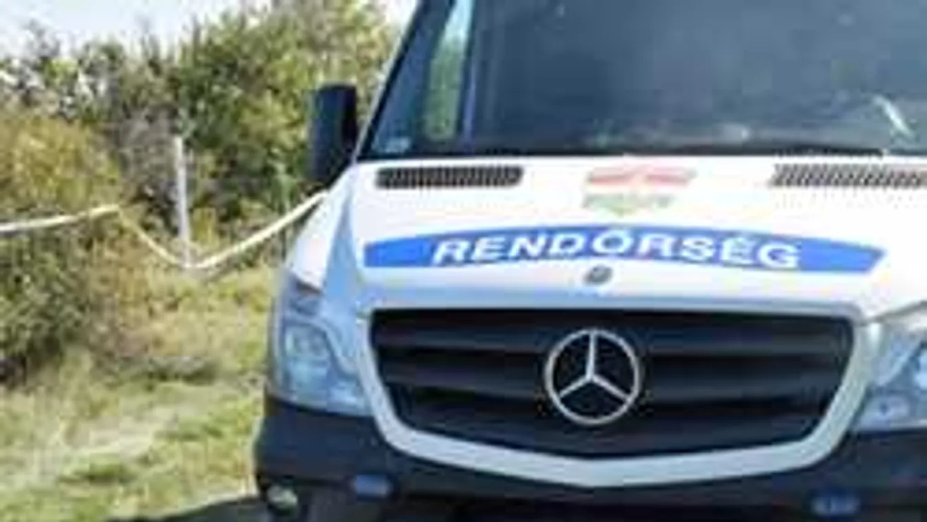 Szívszorító részletek a várpalotai gyilkosságról, ezért ölhették meg anyát és fiát