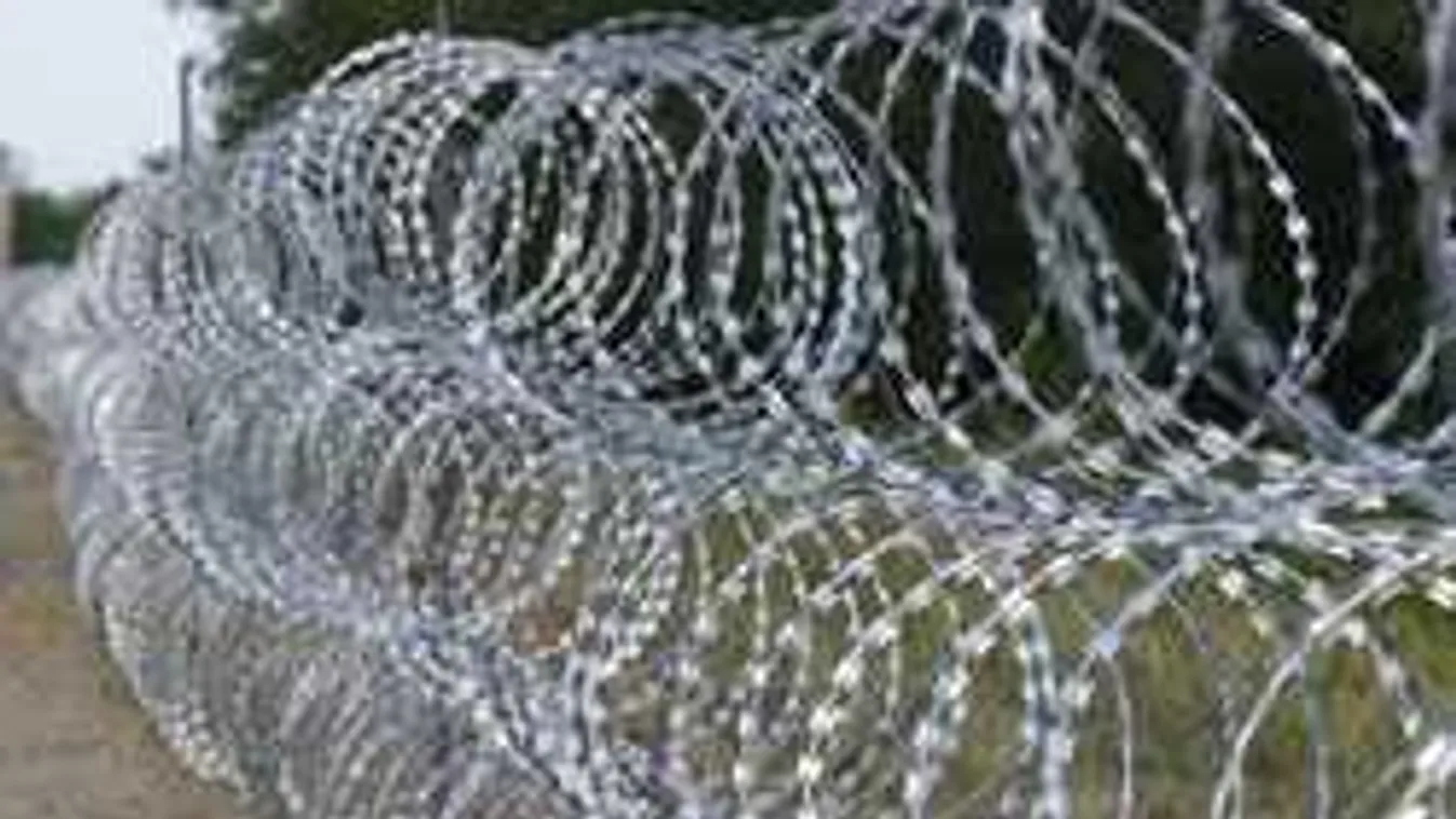 Újra rengeteg a migráns a magyar határon