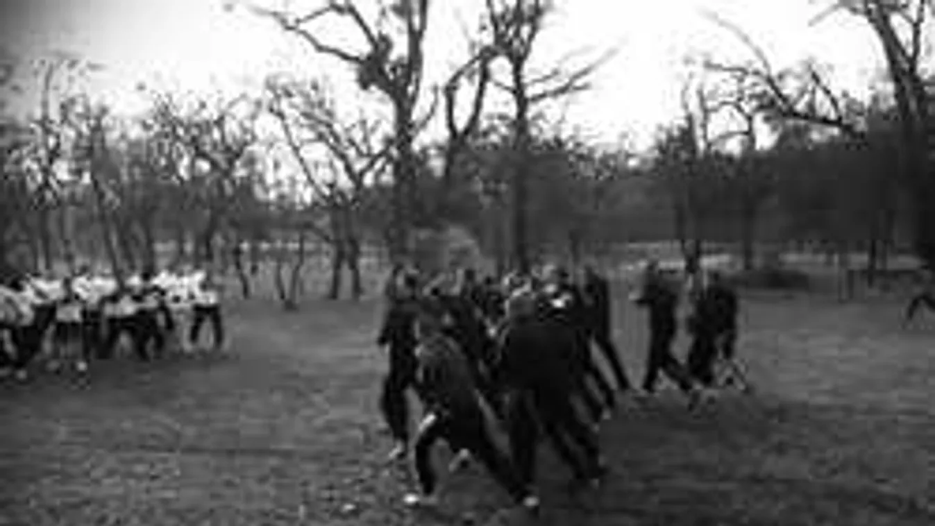 Ököllel eshetnek egymásnak titkos helyen a magyar focihuligánok