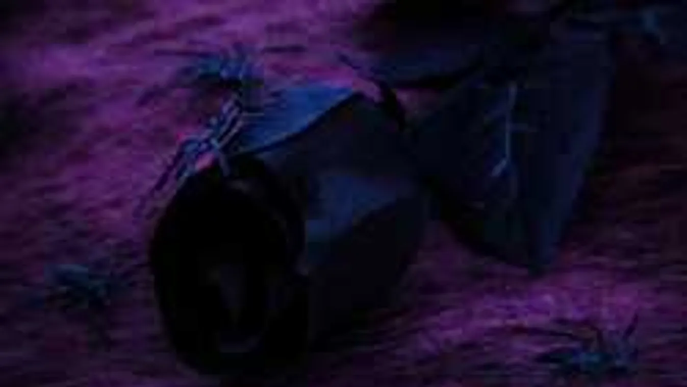 Horror a szálláson: megölte és műanyag edénybe rejtette újszülöttét egy migráns nő