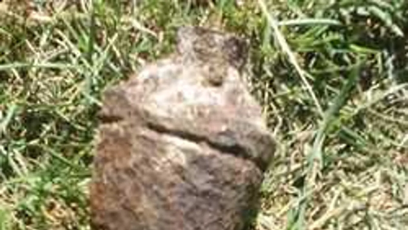 Megdöbbent a férfi, amikor meglátta, miben akadt el a fűnyírója