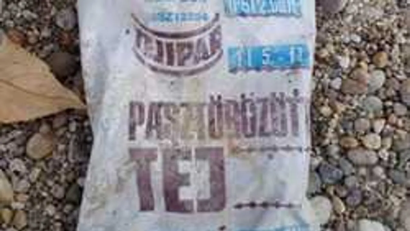 45 éves ereklyét találtak a Dunában