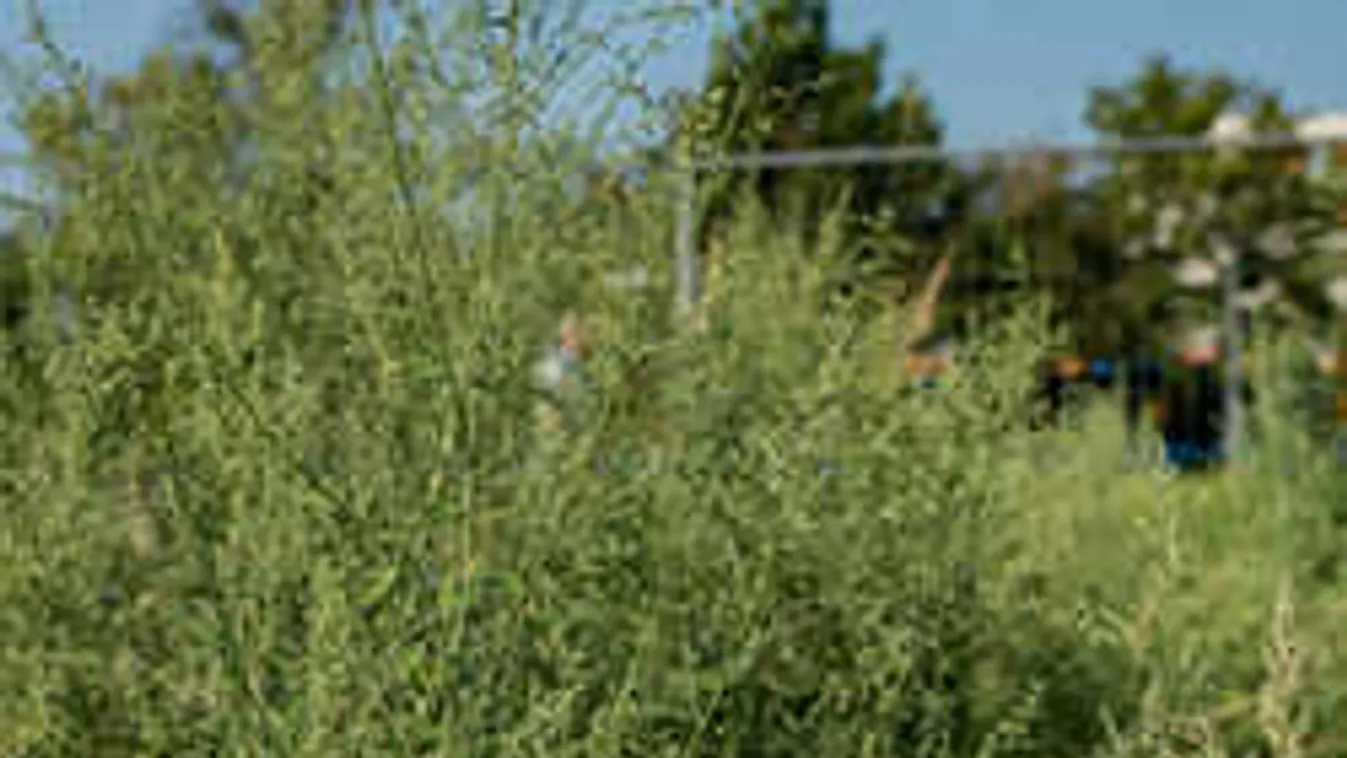 Vörös riasztást adtak ki: kínzó napok várnak az ország ezen területén élőkre