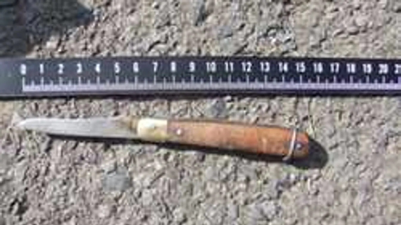 Elképesztő, mit művelt a 89 éves bácsi a bicskájával