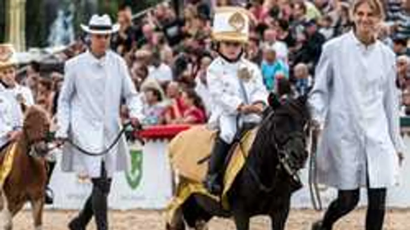 Nemzeti Vágta élőben a Duna Televízión, kocsitolás az M2 Petőfi TV csapatával!