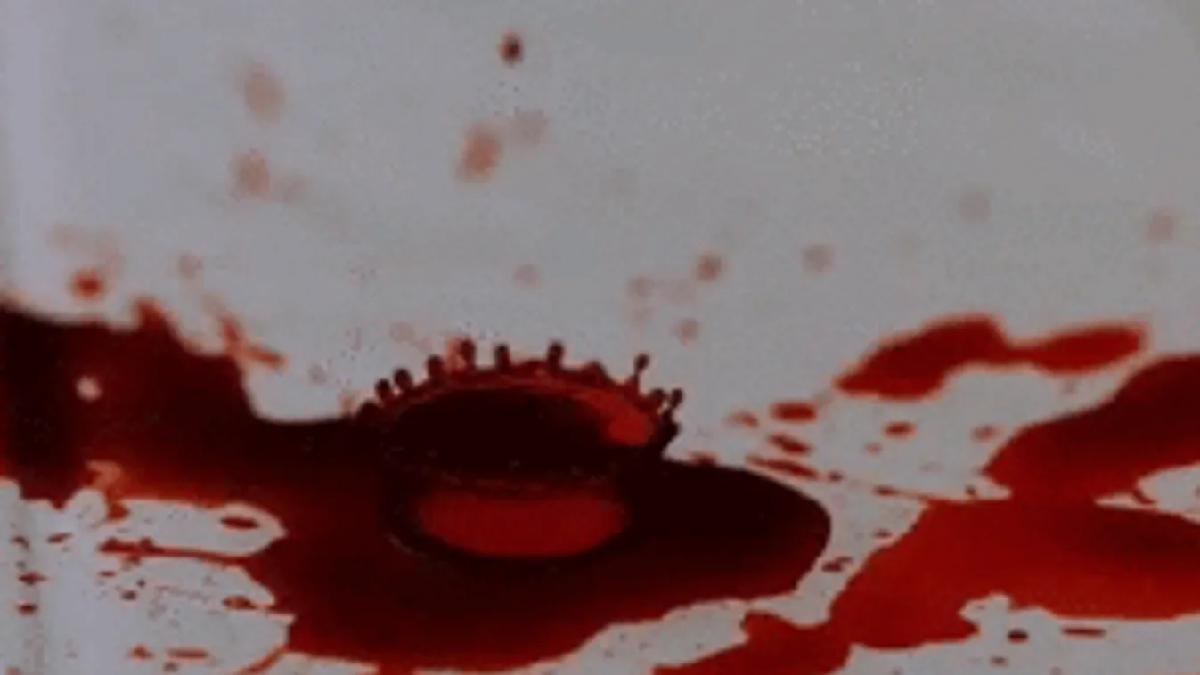 Ítélet született a nagyerdei brutális gyilkosság ügyében