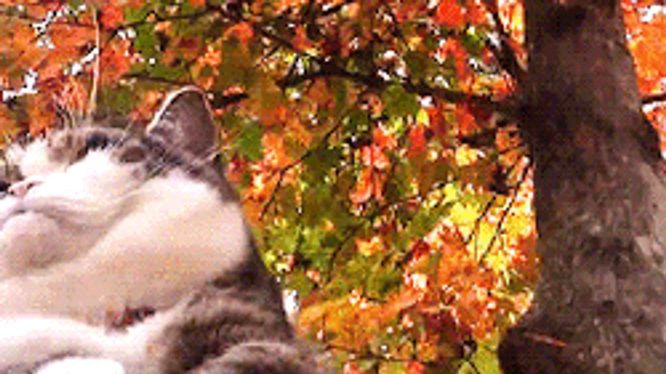 Nincs sok haladék: eddig élvezhetjük a napsütést, lecsap a hidegfront