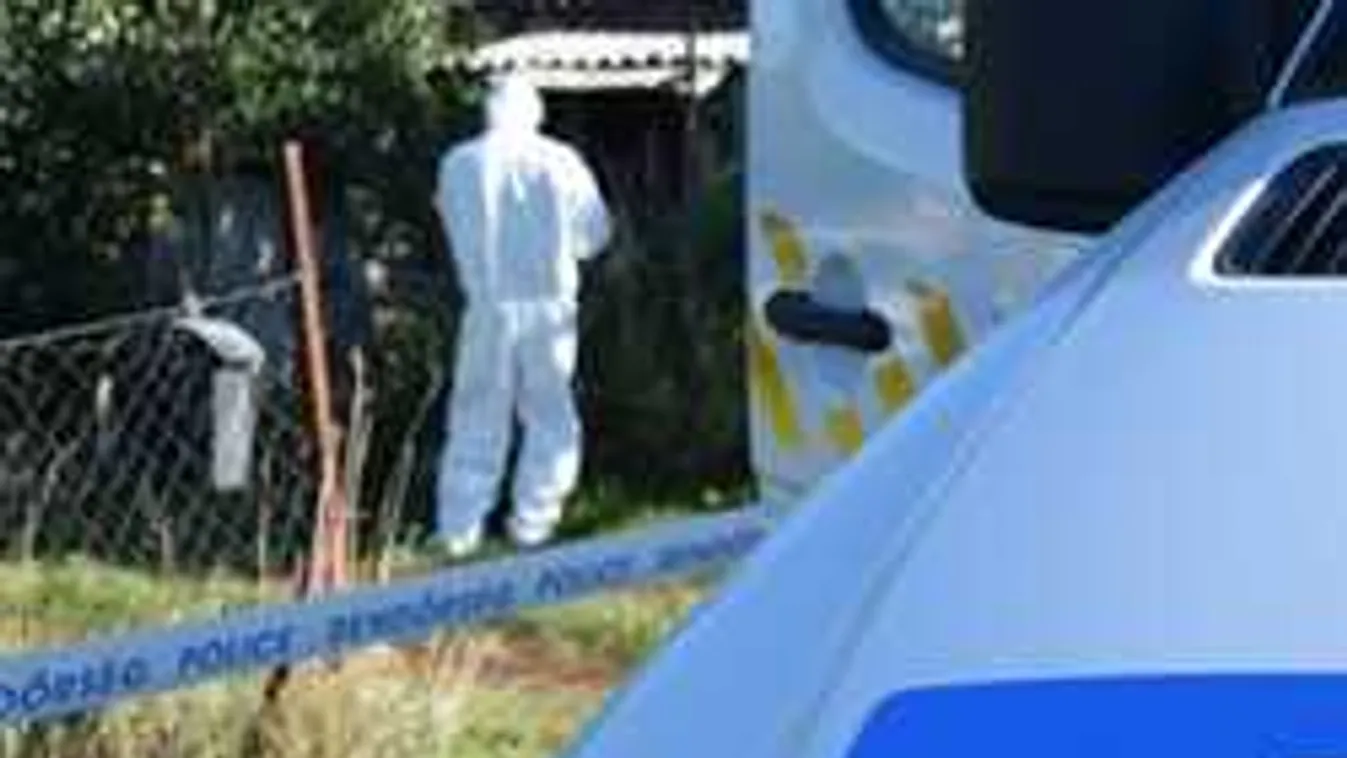 Most kaptuk: Mindent bevallott a várpalotai gyilkosságok gyanúsítottja