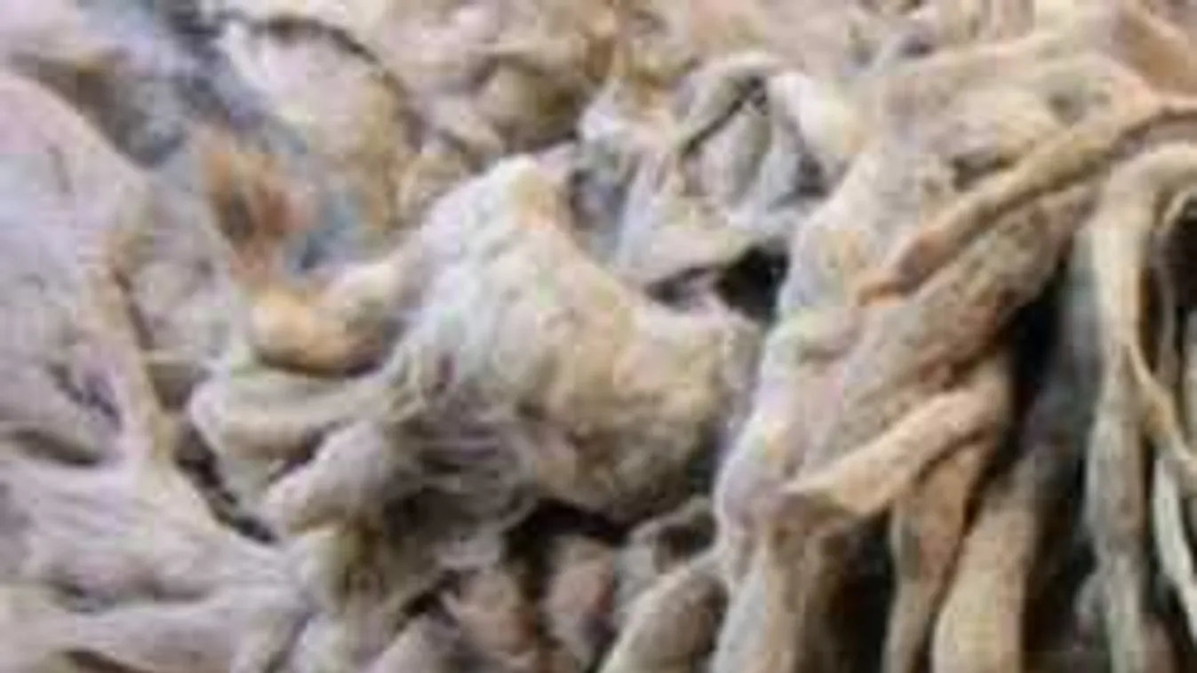 Óriási rasztagubanc hevert az utcán, őrület, mi volt benne