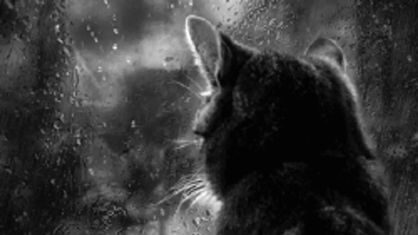 Eleged van a jégesőből? Akkor ezt most ne olvasd el!