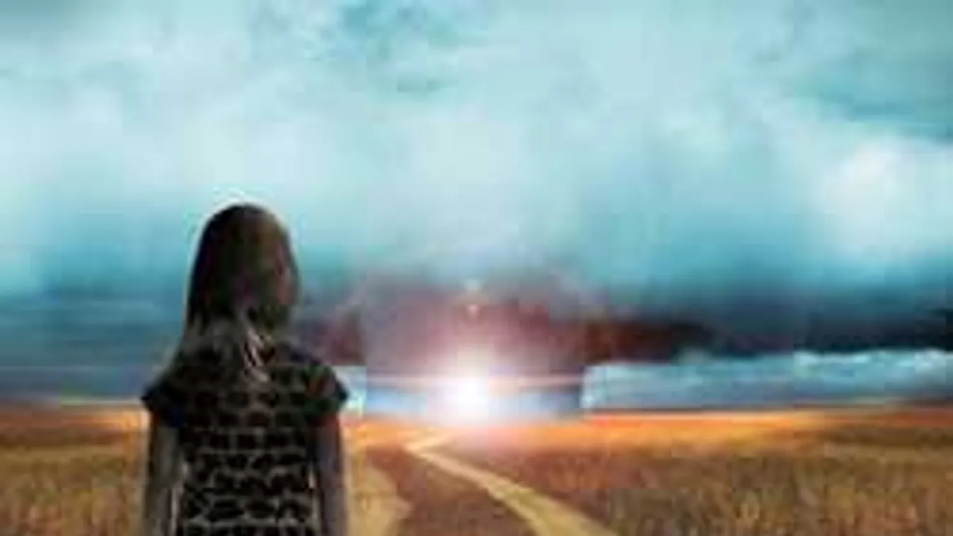 Ilyenek az orchidea gyerekek: A tiéd vajon közéjük tartozik?