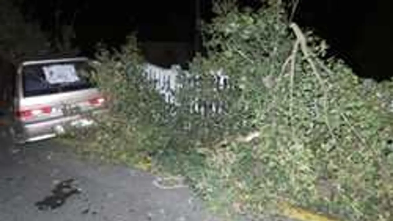 A nap sztorija! Részeg rabló miatt maradt éhen fél Isaszeg