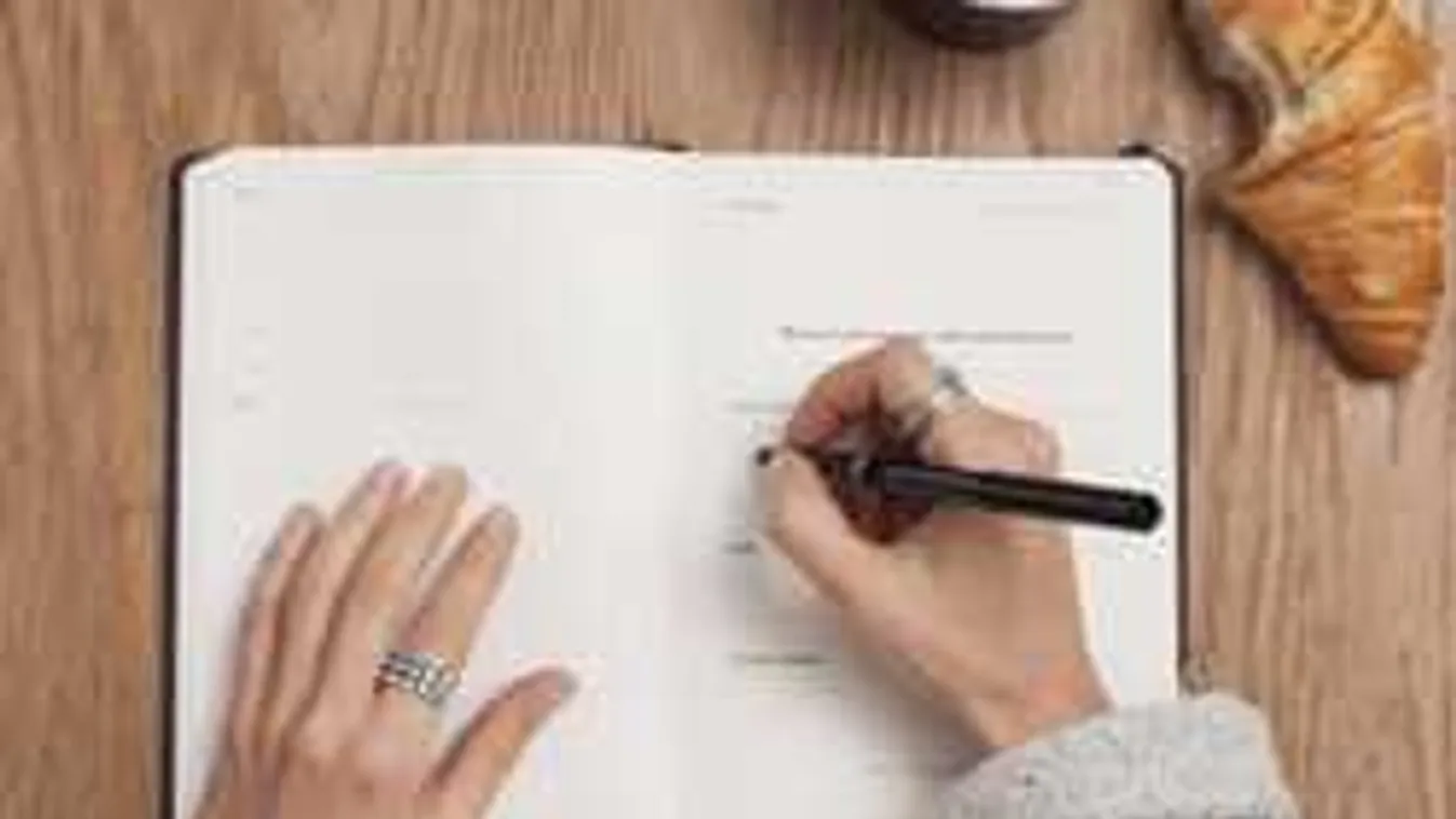 Felkavaró videó! Élő adásban halt meg a 86 éves írónő