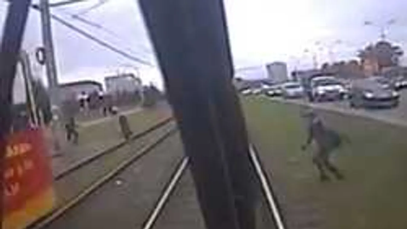 Szörnyű balesetet szenvedett az iskolás fiú, az orvosok küzdenek az életéért! - videó