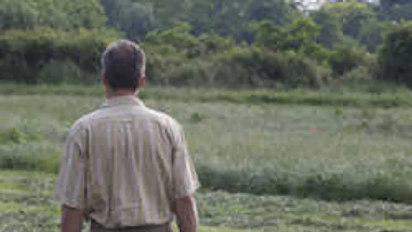 Darnózseli gyilkosság: sokkoló dolgokra derült fény