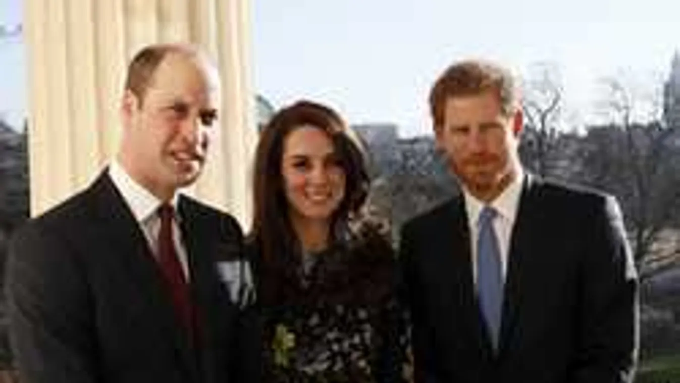 Elképesztő összegek, nem sajnálja a pénzt Vilmos és Harry herceg