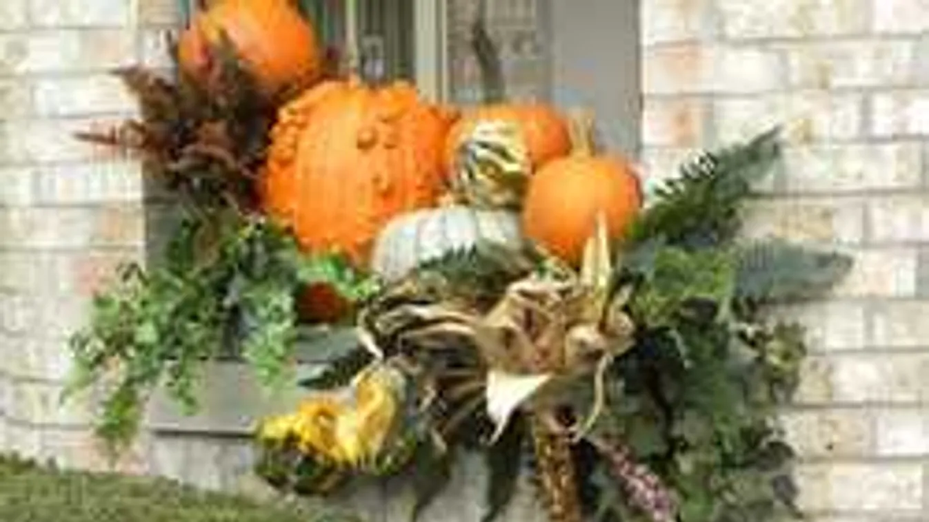 Vigyázat, mérgező dísztökök