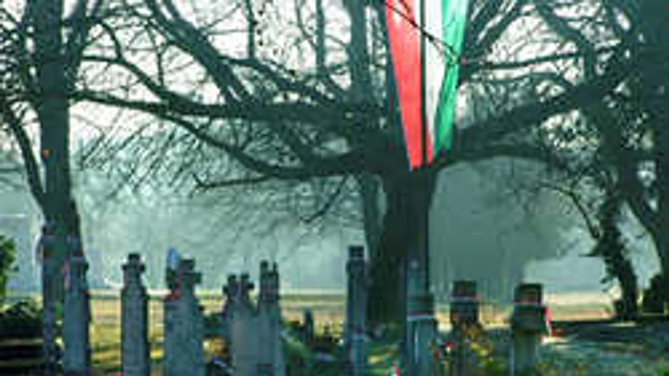 Változik a közlekedés az Új köztemetőnél