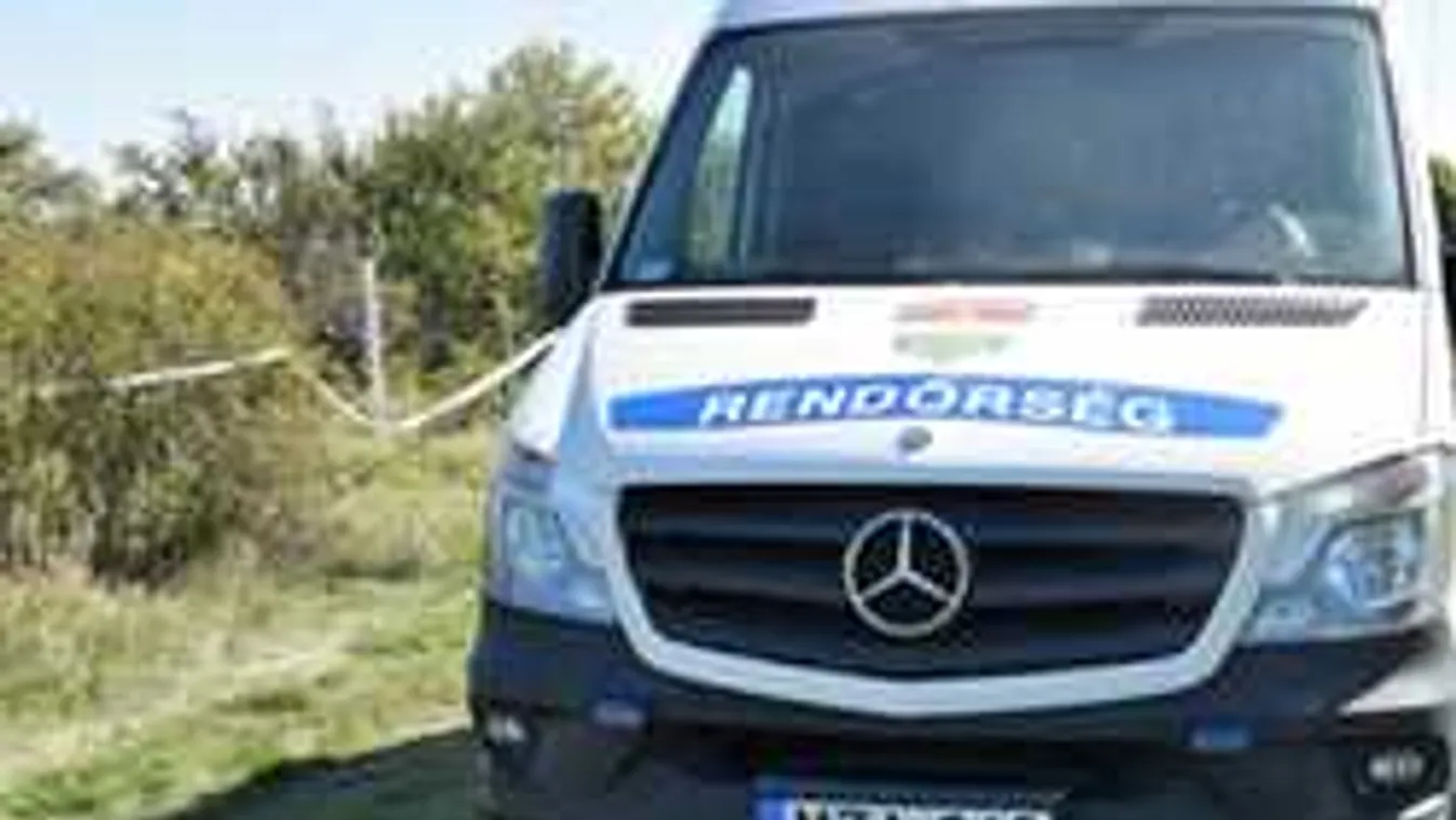 Négykézláb menekült a 2 éves várpalotai kisfiú a gyilkos elől