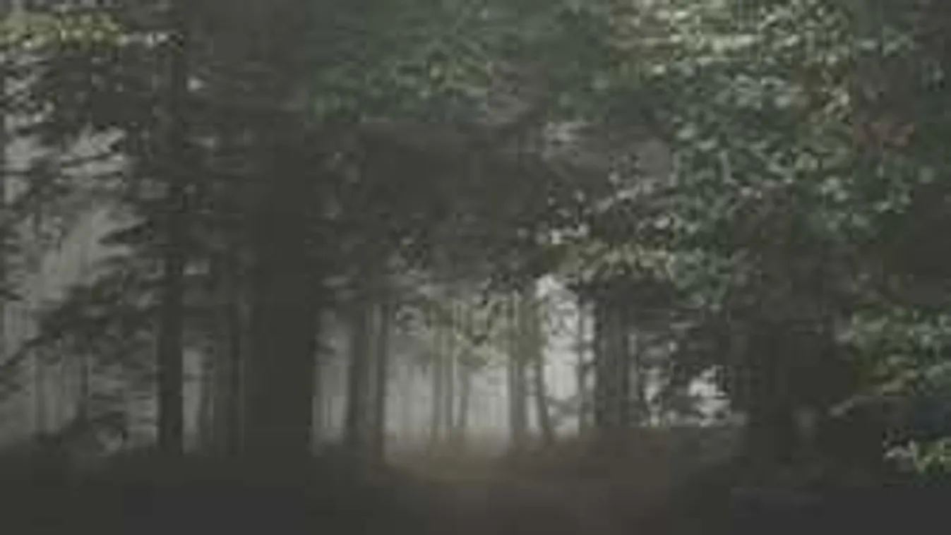 Nem tudta feldolgozni testvére halálát, öngyilkos lett a 17 éves lány