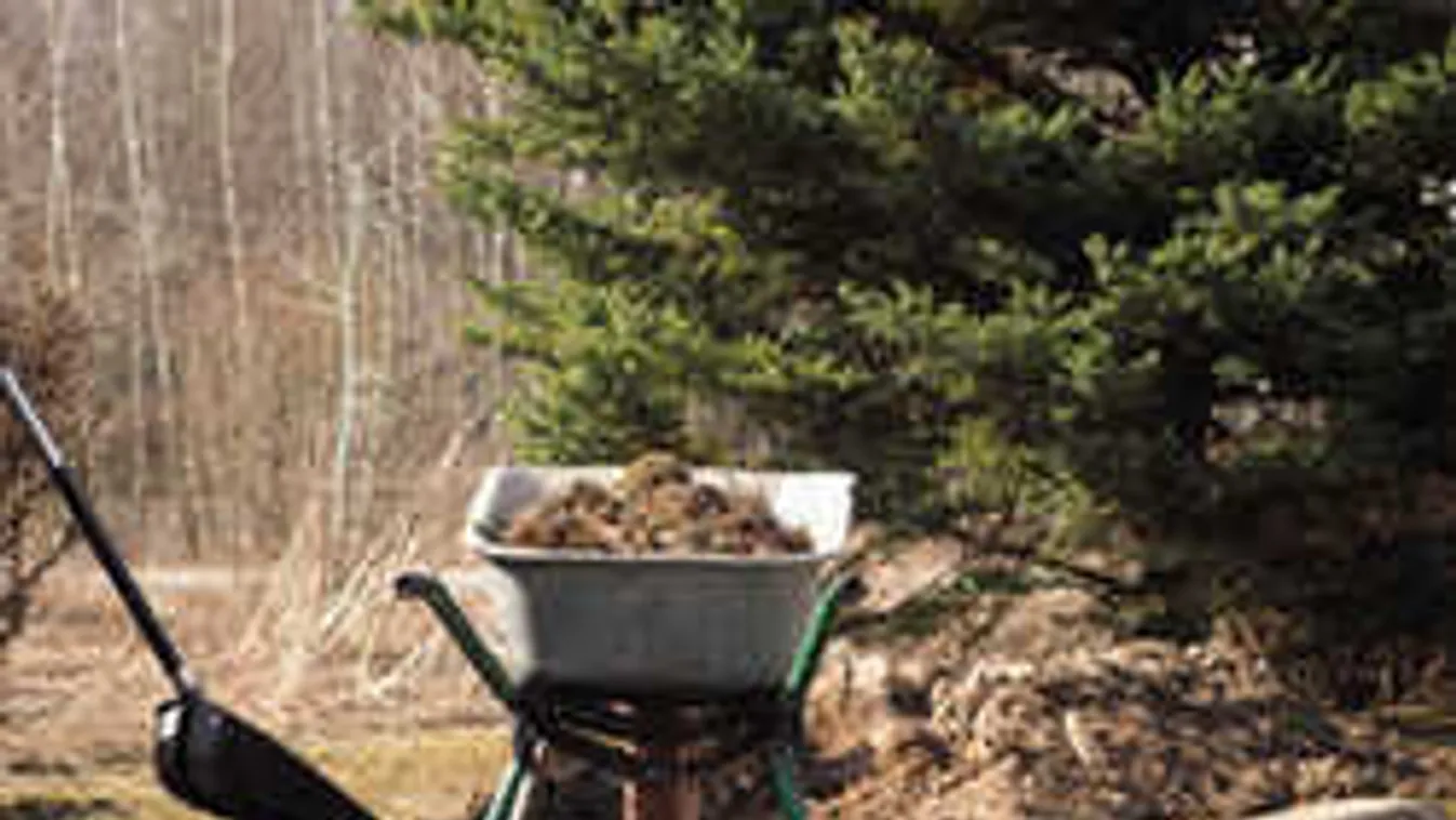 Így készítsd fel a kerted a télre, ezt kell most tenned